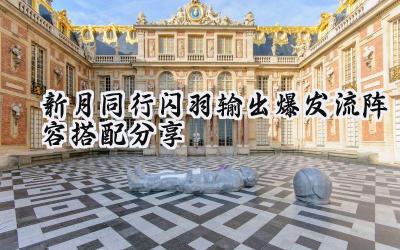 新月同行闪羽输出爆发流阵容深度解析与搭配攻略