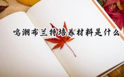 鸣潮2.1版本布兰特养成攻略:突破与技能升级材料详解