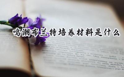 鸣潮布兰特培养全攻略:材料一览与养成指南