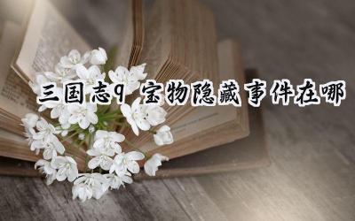 三国志9:宝物寻踪与隐藏事件全攻略