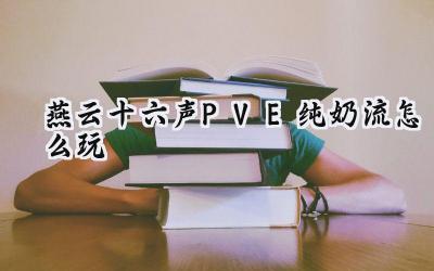 燕云十六声PVE纯奶流进阶攻略:打造团队坚实后盾