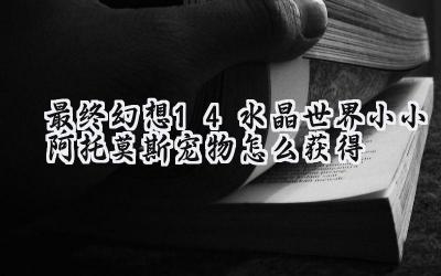 最终幻想14小小阿托莫斯：萌宠获取指南及军票妙用
