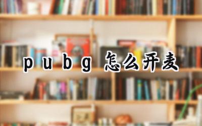 PUBG畅聊无碍：麦克风开启攻略与语音设置详解