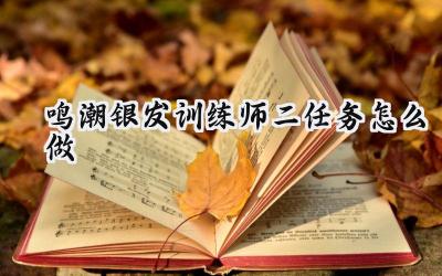 鸣潮银发训练师二任务通关指南：七波声骸挑战详解