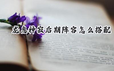 龙息神寂后期阵容：神寂之后，谁主沉浮？最强阵容搭配深度解析