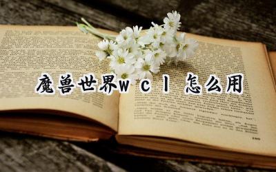 魔兽世界WCL使用完全指南:从入门到精通战斗数据分析