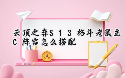 云顶之弈S13：格斗老鼠主C阵容制霸攻略